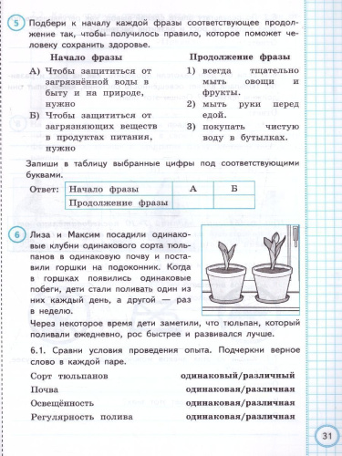 ВПР Окружающий мир за курс начальной школы. Практикум. ФГОС