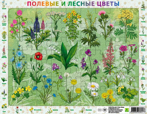 Детский пазл на подложке. Полевые и лесные цветы России. (36х28 см, 63 эл.)(РУЗ Ко)