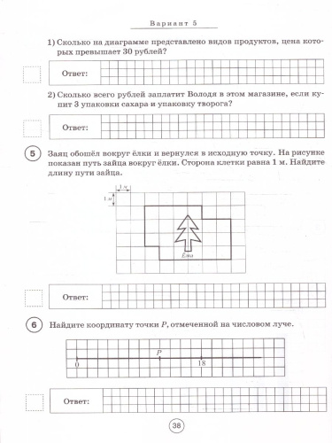 ВПР Математика 5 класс. 10 тренировочных вариантов. ФГОС