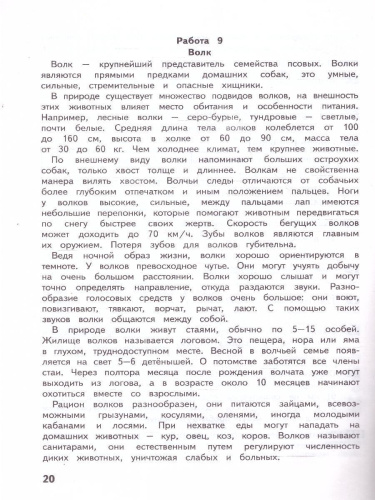 Литературное чтение 3 класс. Развиваем читательскую грамотность