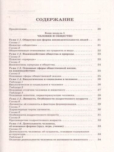 ОГЭ Обществознание. ОГЭ на 100 баллов. Справочник: Теория и практика