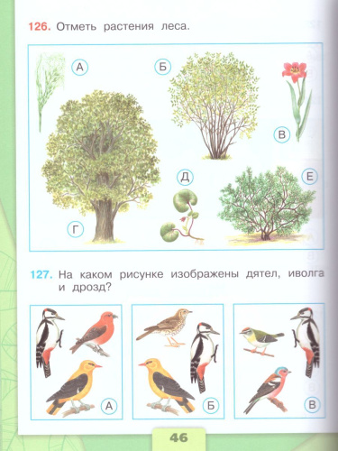 Окружающий мир 4 класс. Тесты. ФГОС. УМК "Школа России"