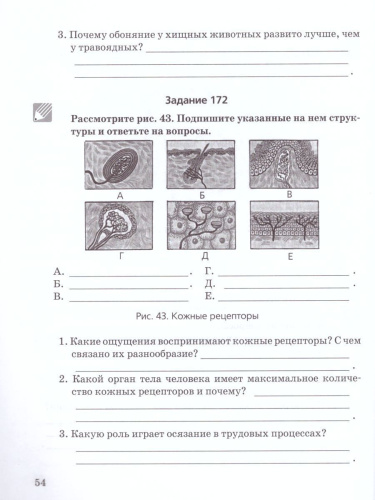 Биология 9 класс. Человек и его здоровье. Рабочая тетрадь в 2-х частях. Часть 2