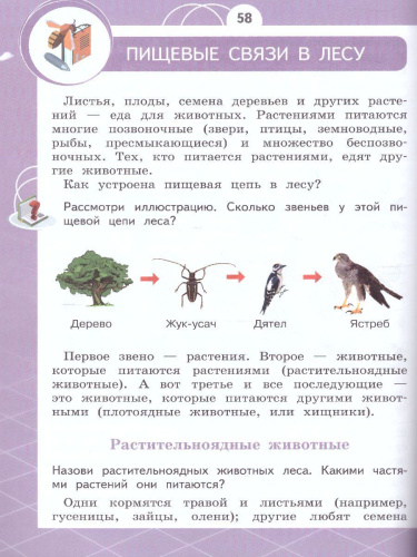 Естествознание 2 класс. Азбука экологии
