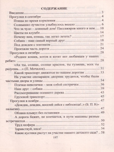 Организация деятельности детей на прогулке: вторая младшая группа
