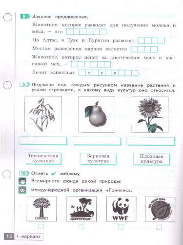 Окружающий мир 4 класс. Тетрадь проверочных работ. Часть 2. Что я знаю. Что я умею (ИД Федоров)