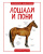 Лошади и пони. Практическая энциклопедия. 50 шагов в мир знаний
