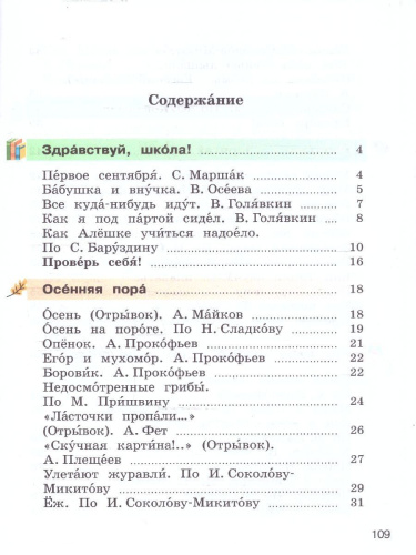 Литературное чтение 2 класс. Адаптированные программы. Учебник. Часть 1