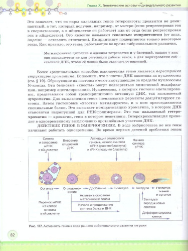 Биология 10 класс. Углублённый уровень. Учебное пособие. В 2-х частях. Часть 2