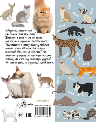 Кошки
