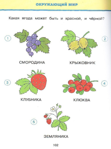 Новые тесты. Умные книжки 5-6 лет