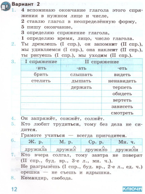 55637629-3