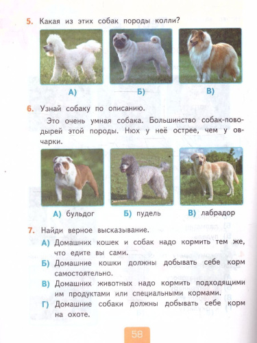 Окружающий мир 2 класс. Тесты. Часть 1. К новому учебнику. УМК Плешакова. ФГОС НОВЫЙ
