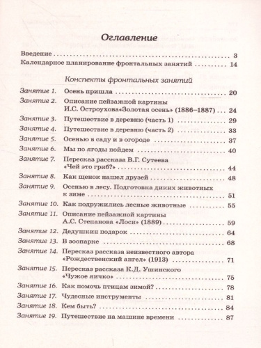 Развиваем связную речь у детей 6-7 лет с ОНР. Конспекты фронтальных занятий логопеда