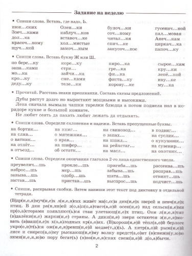 Русский язык 4 класс. Задания для повторения и закрепления учебного материала