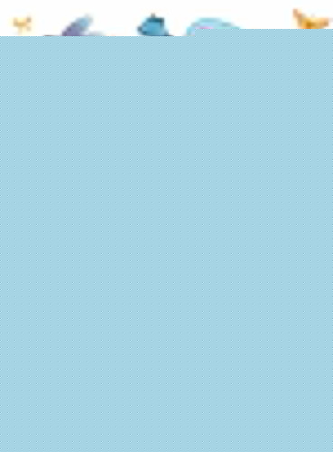 Волшебная мода. Супернаклейки. 500 наклеек