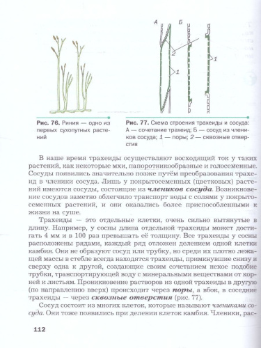 Биология 6 класс. Базовый уровень. Учебное пособие. ФГОС