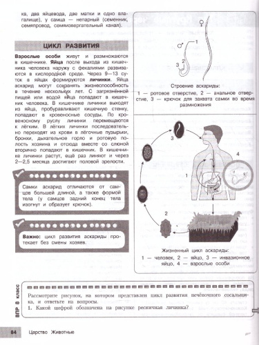 Биология 5-9 классы. Подготовка к ОГЭ и ВПР. Справочник с теорией, заданиями и ответами