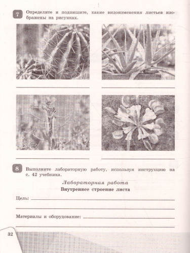Биология 6 класс Рабочая тетрадь