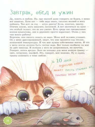 Я кот. Издание с раскрасками