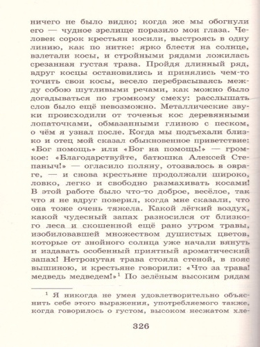 Детские годы Багрова-внука.