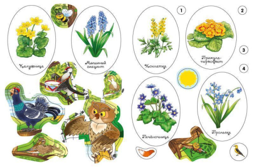 Вспоминаем весну! Учимся видеть и понимать