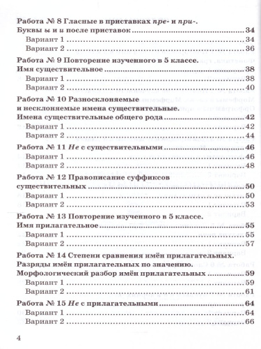 Русский язык 6 класс. Зачетные работы