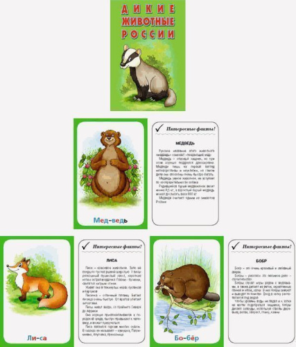 Карточки. Дикие животные России (интересные факты о каждом животном)
