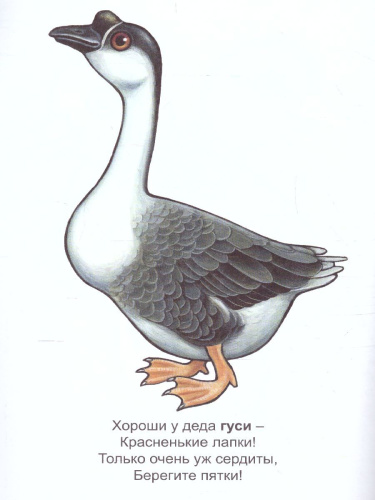 Раскраска Малышок "Домашние птицы"