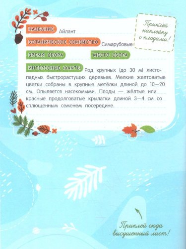 Собирай! Мой гербарий: книжка с наклейками /Мои первые открытия