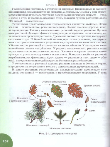 Биология 6 класс. Учебник. ФГОС