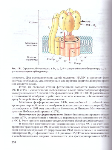 Биология 11 класс. Углубленный уровень. Учебное пособие