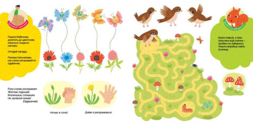 Маленькие чудеса большого мира