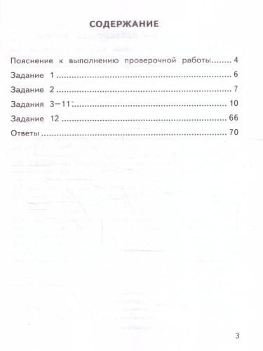 ВПР Русский язык 4 класс. Тренажер. ФГОС Новый