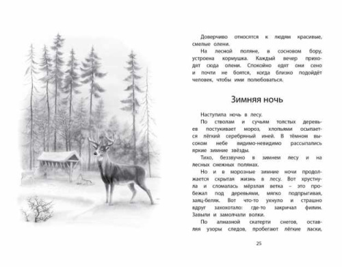 Год в лесу. Рассказы о природе