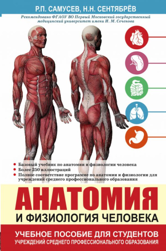 Анатомия и физиология человека. Учебное пособие