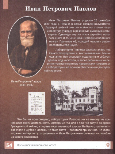 Мозг человекаю. Самая умная энциклопедия