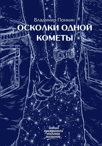 Осколки одной кометы /Проект Полярного. Твоей прекрасной юности момент