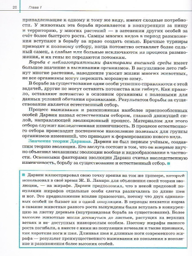 Общая Биология 11 класс. Базовый уровень. Учебник. Вертикаль. ФГОС