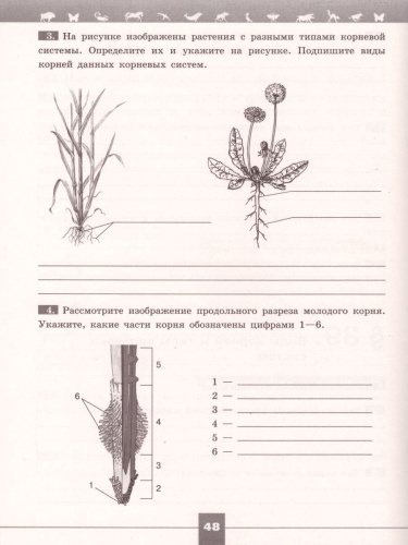 Биология 6 класс. Рабочая тетрадь. ФГОС. УМК "Линия жизни"