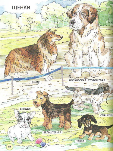 Азбука для дошкольников 3-4 года