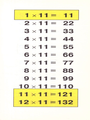 55616544-3