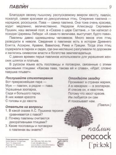 Демонстрационные картинки СУПЕР. Птицы домашние и декоративные. 16 демонстрационных картинок с текстом 173х220 мм
