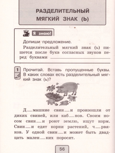Русский язык 2 класс. Проверочные работы
