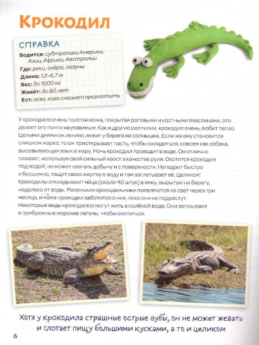 Лепим из пластилина крокодила, носорога, черепаху