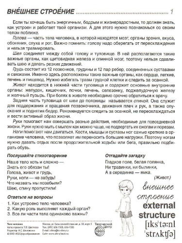 Демонстрационные картинки СУПЕР. Тело человека. 16 демонстрационных картинок с текстом 173х220 мм