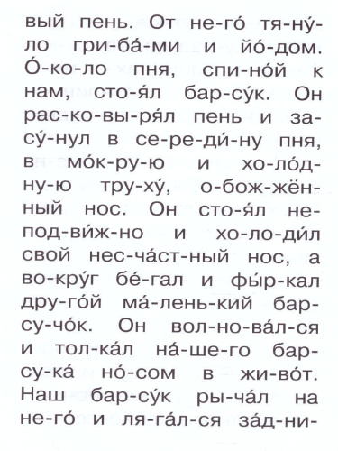 Барсучий нос /Сам читаю по слогам