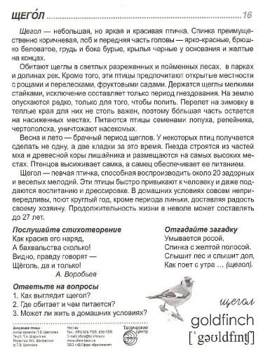 Демонстрационные картинки СУПЕР Зимующие птицы 16 демонстрационных картинок с текстом 173х220 мм