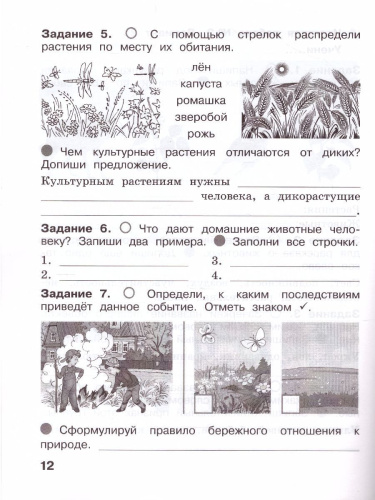 Окружающий мир 2 класс. Итоговые работы