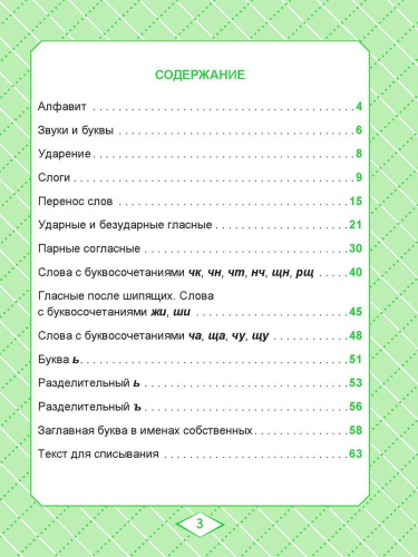 Русский язык 1 класс. Комплексный тренажер